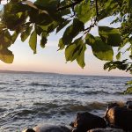 7e0db5e9-d2b6-474b-9450-9923c9f18d90